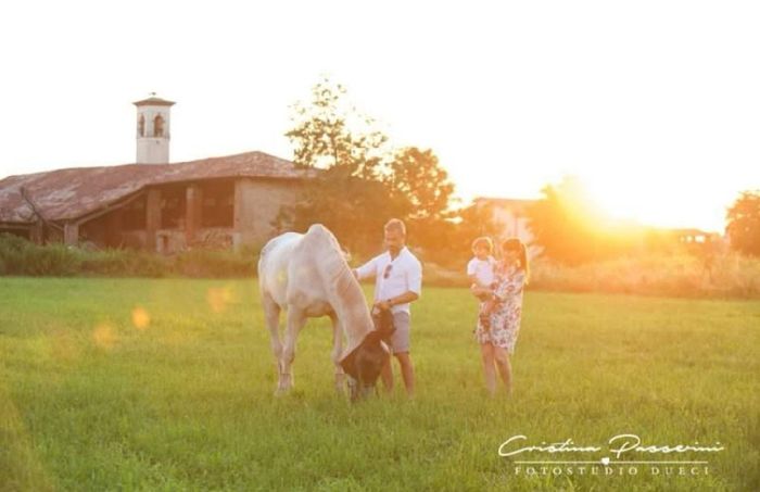 Foto prematrimoniali - 1