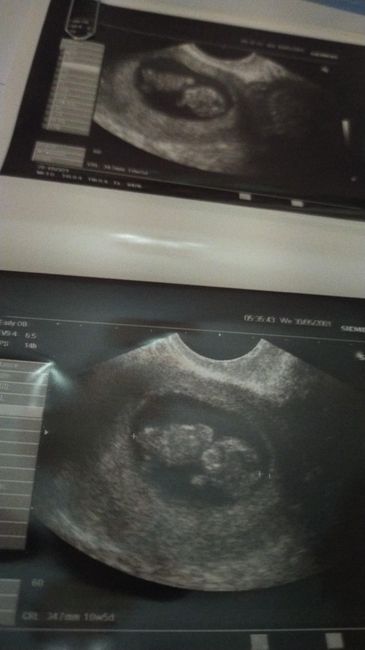 Metodo Ramzi! Chi ci sa azzeccare? - 1