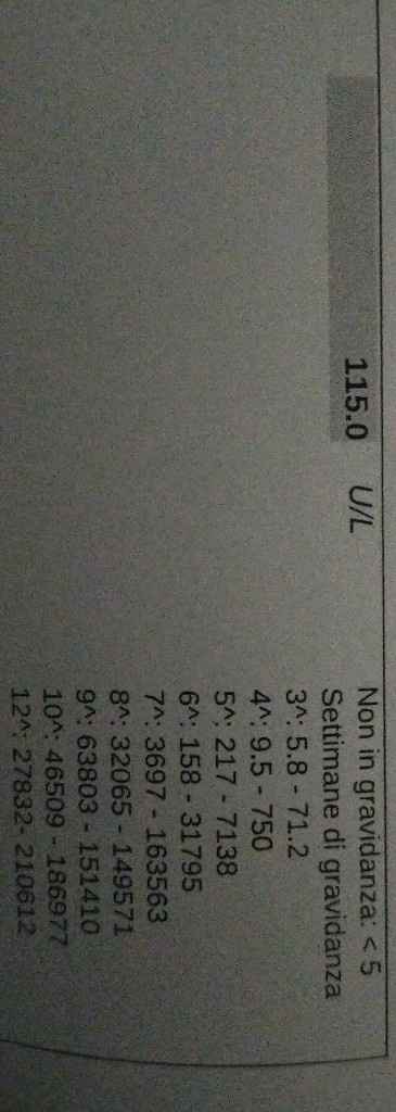 Dubbio beta basse aiuto! - 1