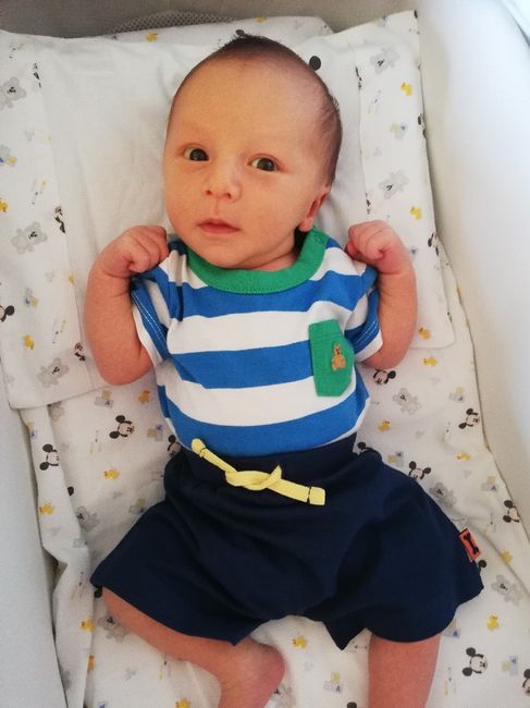 Mamme di Agosto 2019 1