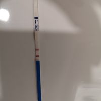 Test gravidanza canadesi.. Entrate❣️ - 1