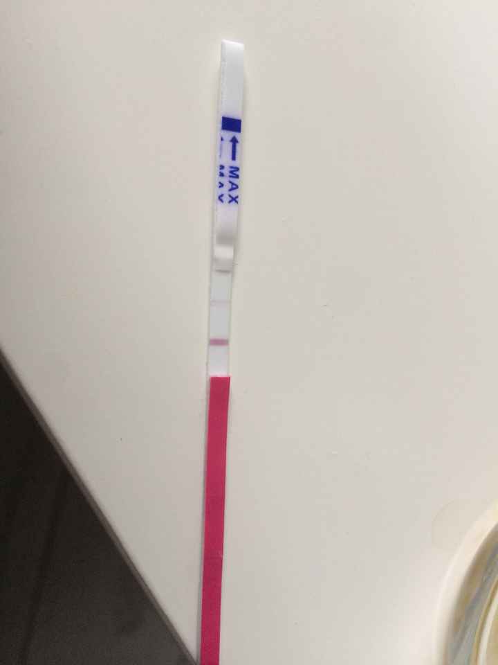  Stick ovulazione, tb e antibiotico - 1