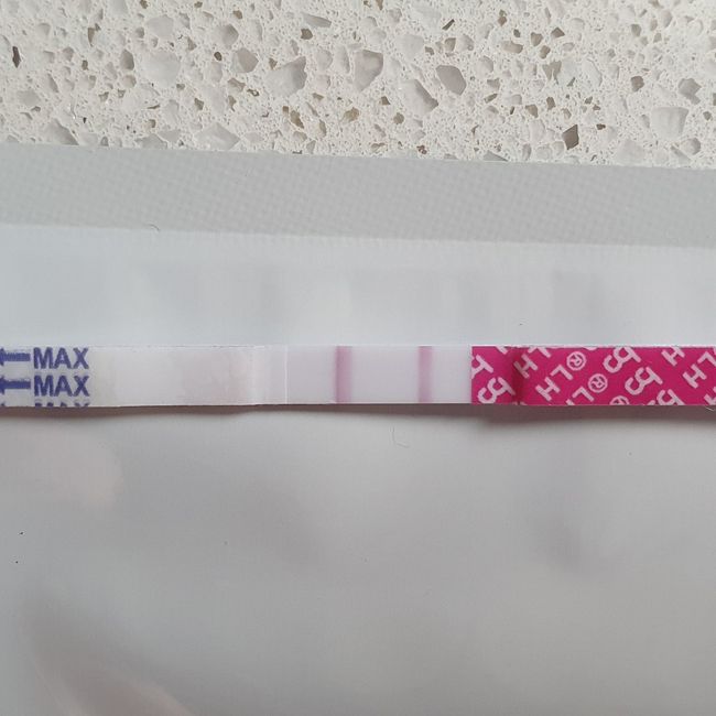 Chi non le aspetta per Maggio 2021 - 1