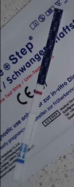 Chi non le aspetta per marzo 2022 🌸🌸🌸🌸 - 1