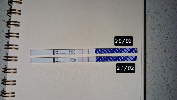 Chi non le aspetta per Febbraio 2024 👩‍❤️‍👨❣️ - 2
