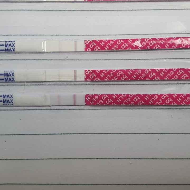 Chi non le aspetta per Maggio 2021 - 1