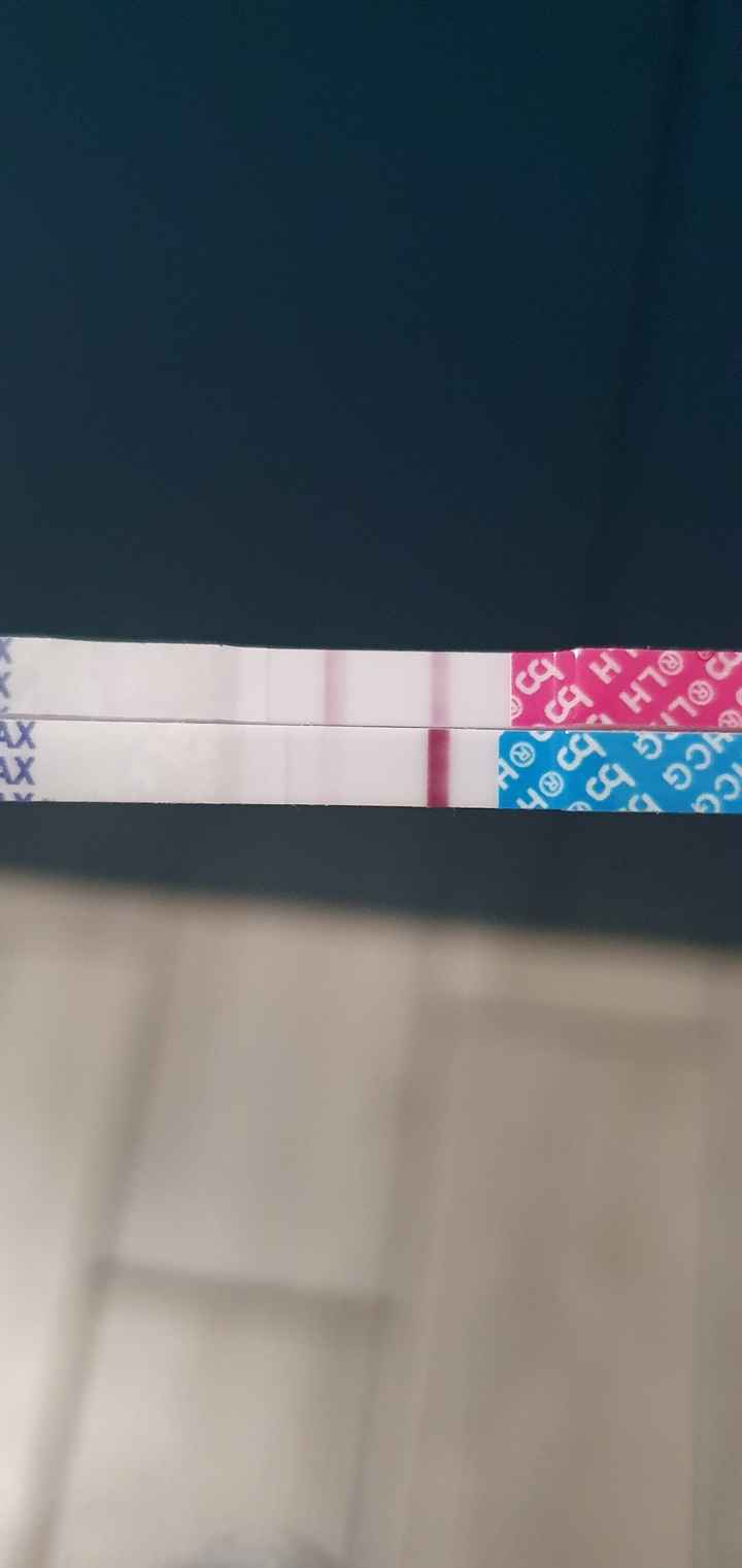 Chi non le aspetta per luglio 2021 - 1