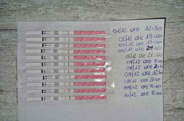 Chi non le aspetta per Dicembre 2023 😬🎁🎄❄️ - 1