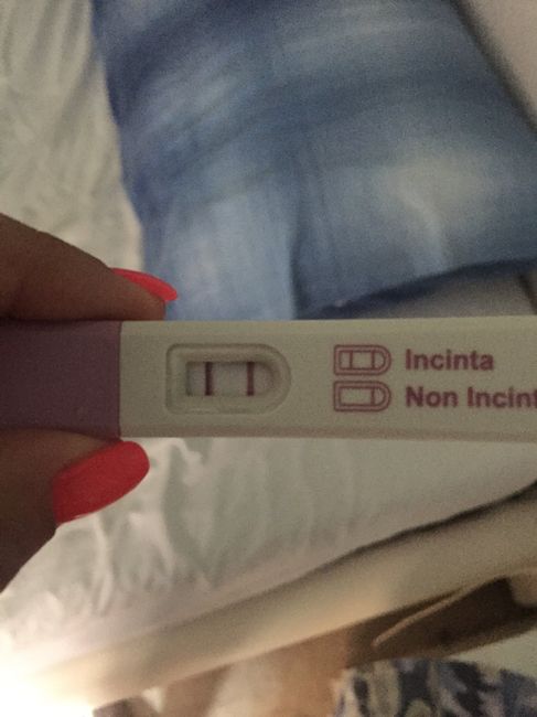Test fatto... si comincia!!! - 1