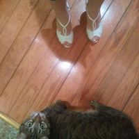 Pulizie con le scarpe da sposa 😂😂 - 1