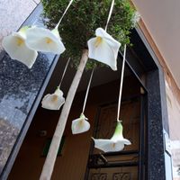 aggiungo un po' di foto!!!!