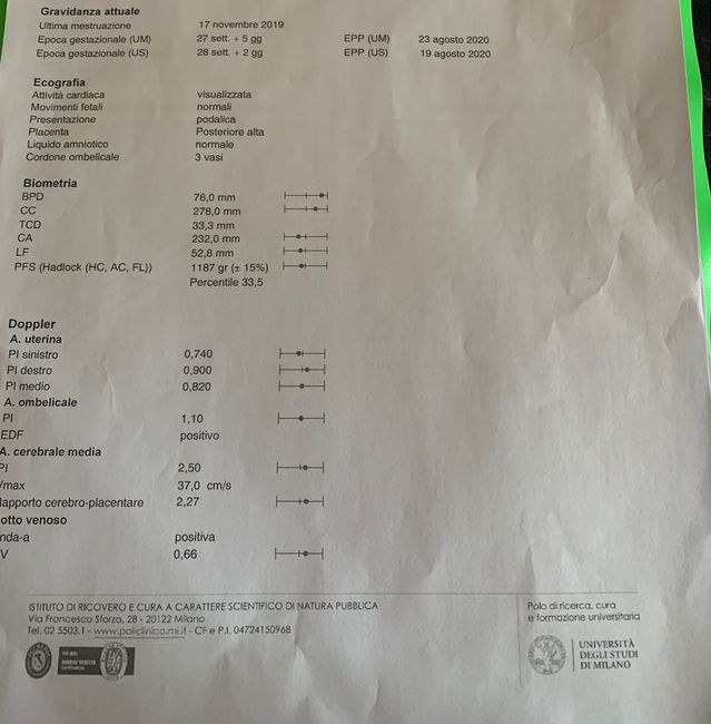 Femore 24 settimane 1