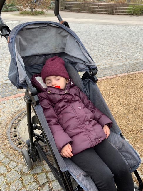 Passeggino leggero, gioie e dolori (topic lungo) 2