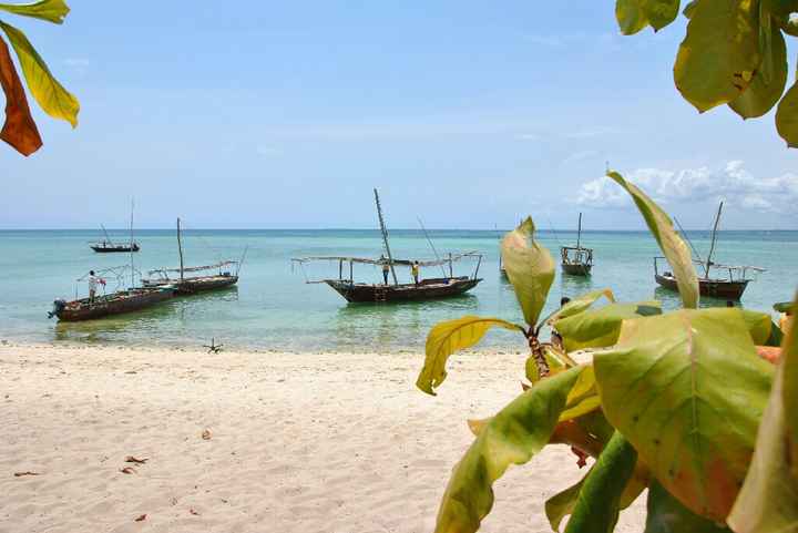 Viaggio di nozze.... zanzibar - 4