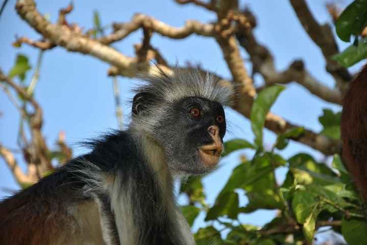 Viaggio di nozze.... zanzibar - 5