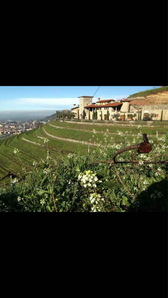 I vostri ristornati - 3