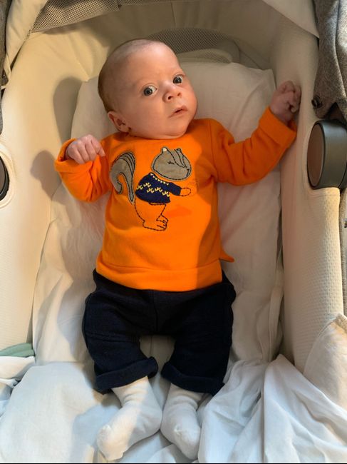 Future mamme novembre 2020 🌞🍁🌷♾ - 1