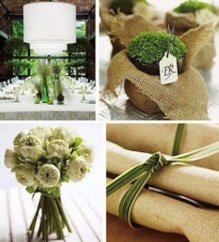 Il mio matrimonio verde fastidio!  - 2