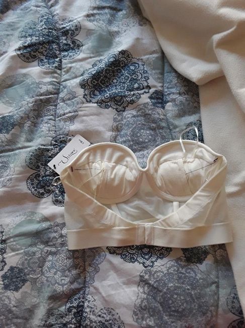 Reggiseno
