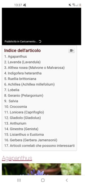 Bouquet e fiori per Luglio 5