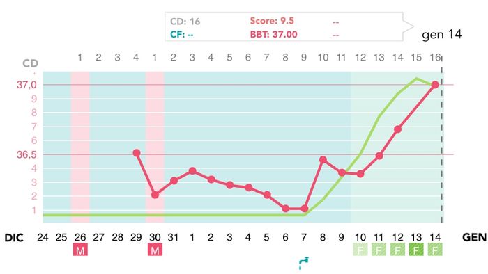 Parere grafico tb! 1