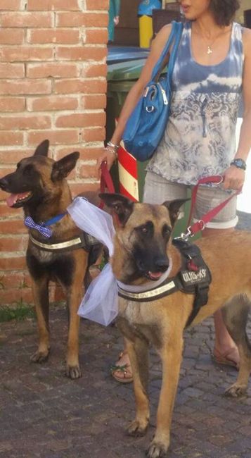 Finalmente sposi!!! - 4