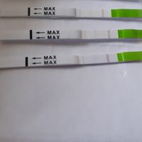 Chi non le aspetta per Maggio 2021 - 2