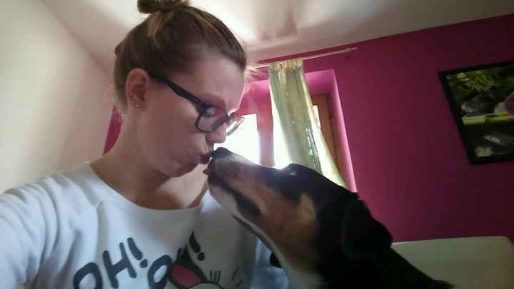 Le foto dei vostri animali - 1