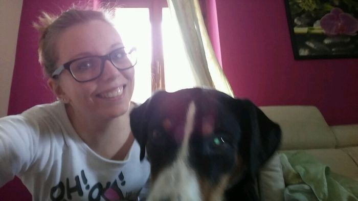 Sondaggio <img class=