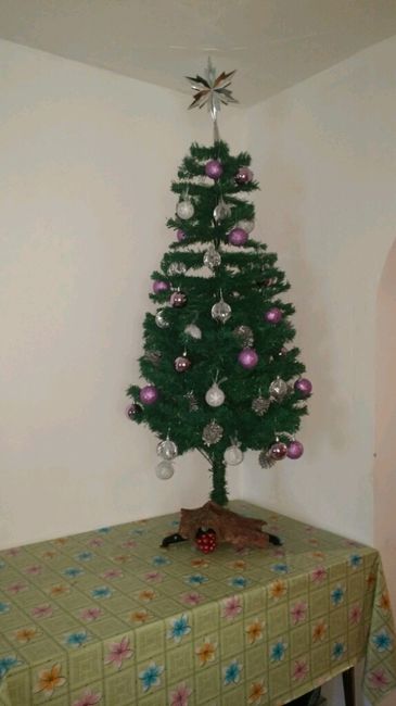 Ultimo albero da nubile :) - 2
