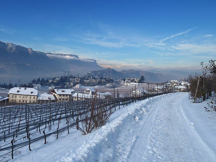 Ragazze di tutte le regioni. ..perché - 1