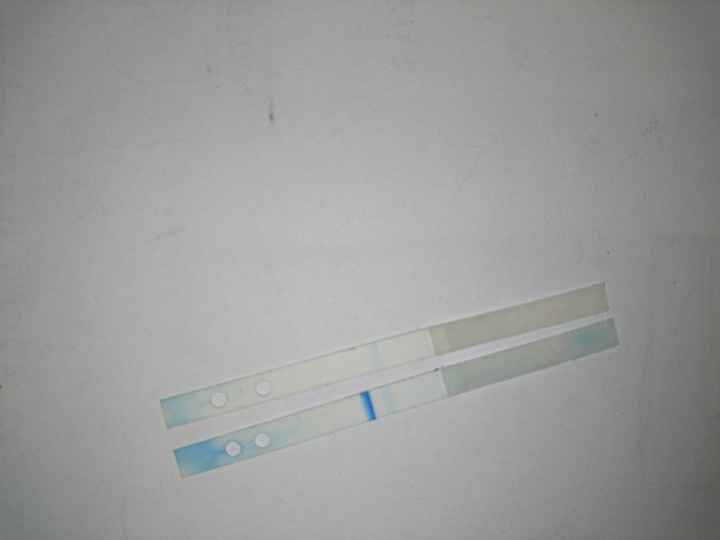 Ho smontato clearblue digital - 1