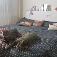 Collaboratori pelosi ❤️ - 1