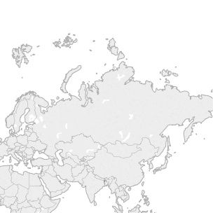 Coni tema viaggio - 2