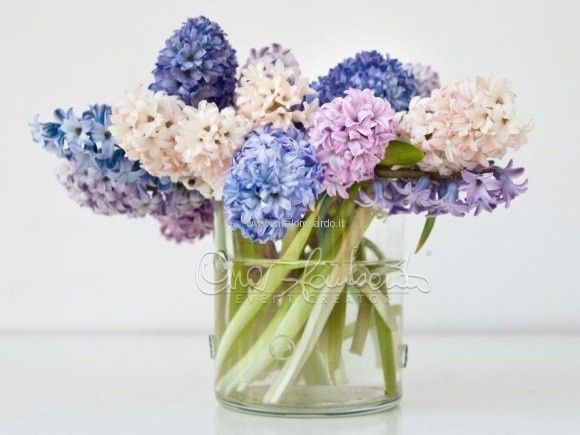 fiori x bouquet