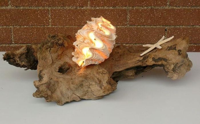 idee regalo x testimoni