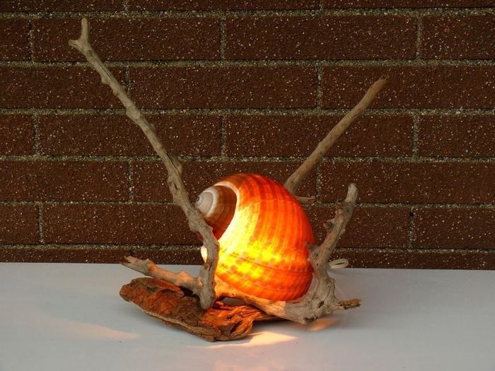 idee regalo x testimoni