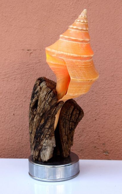 idee regalo x testimoni