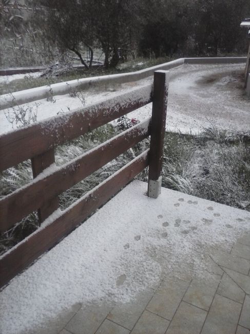 fuori casa con la neve