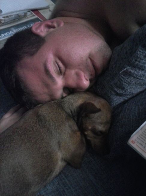 i miei due amori