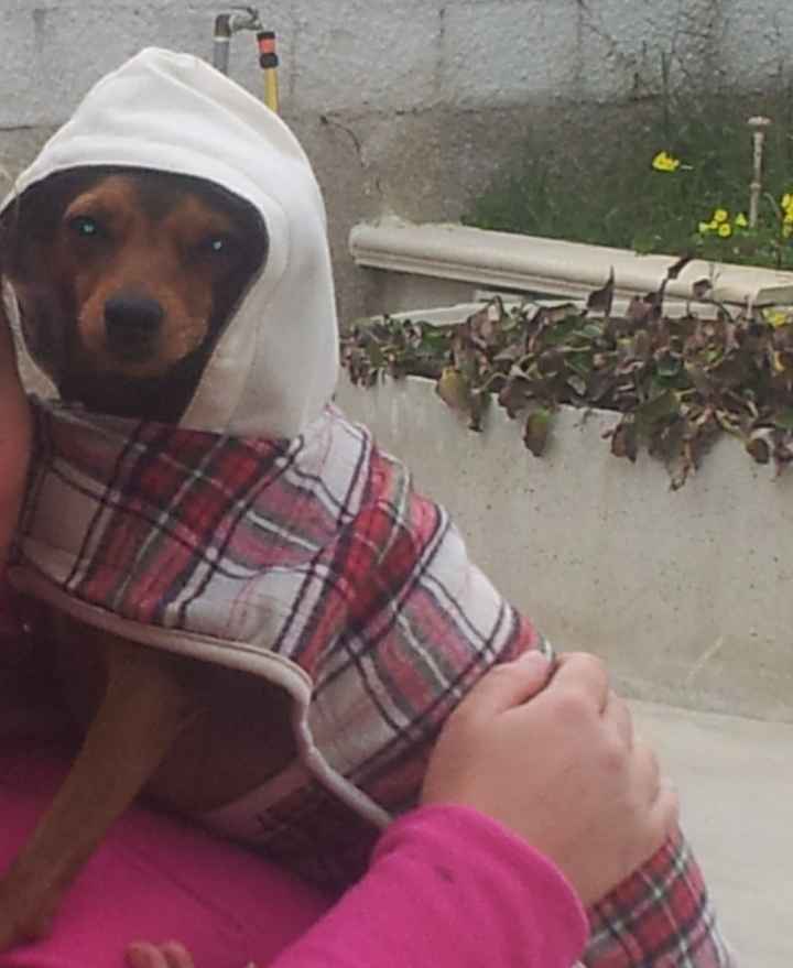 la mia cucciola