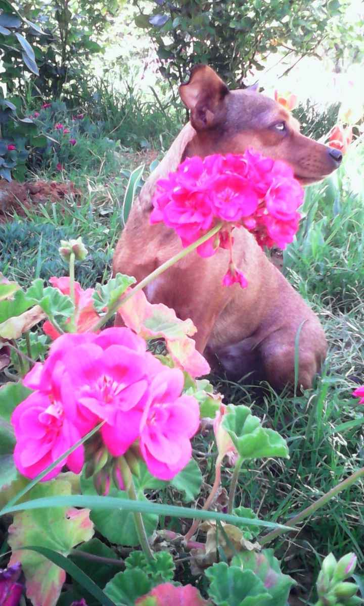 la mia cucciola
