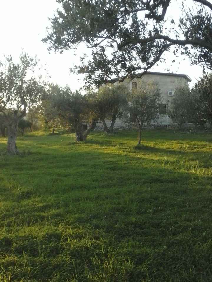 giardino di casa nostra