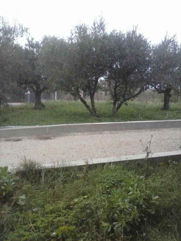 giardino di casa nostra