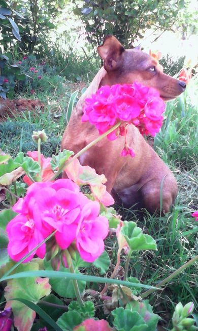 la mia cucciola