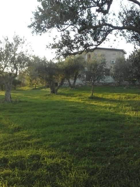 giardino di casa nostra