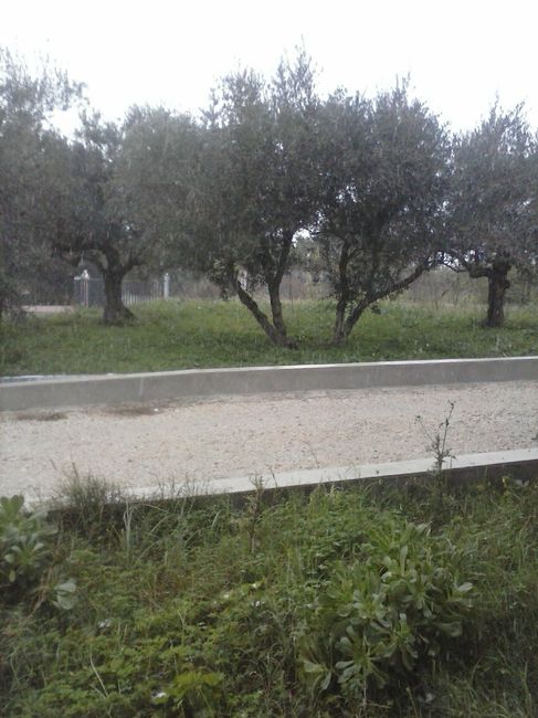 giardino di casa nostra
