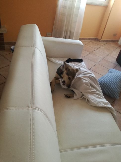 Fateci vedere il vostro nido d'amore! 🏡 - 6