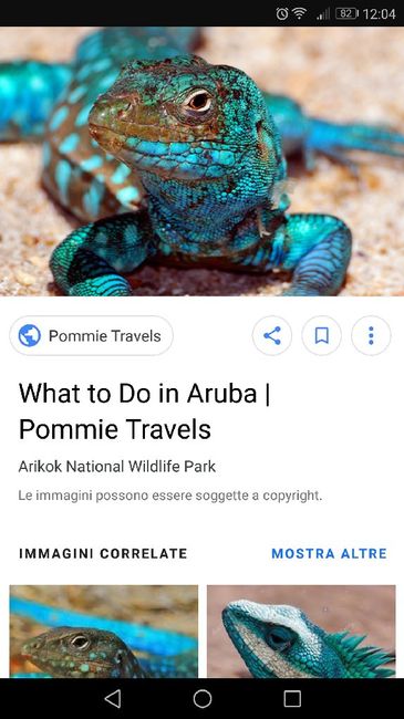 Sud America e Caraibi - 1