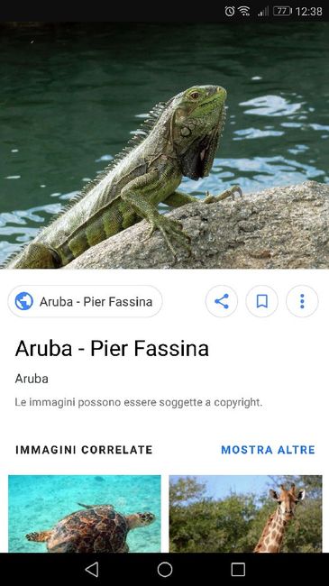 Sud America e Caraibi - 2